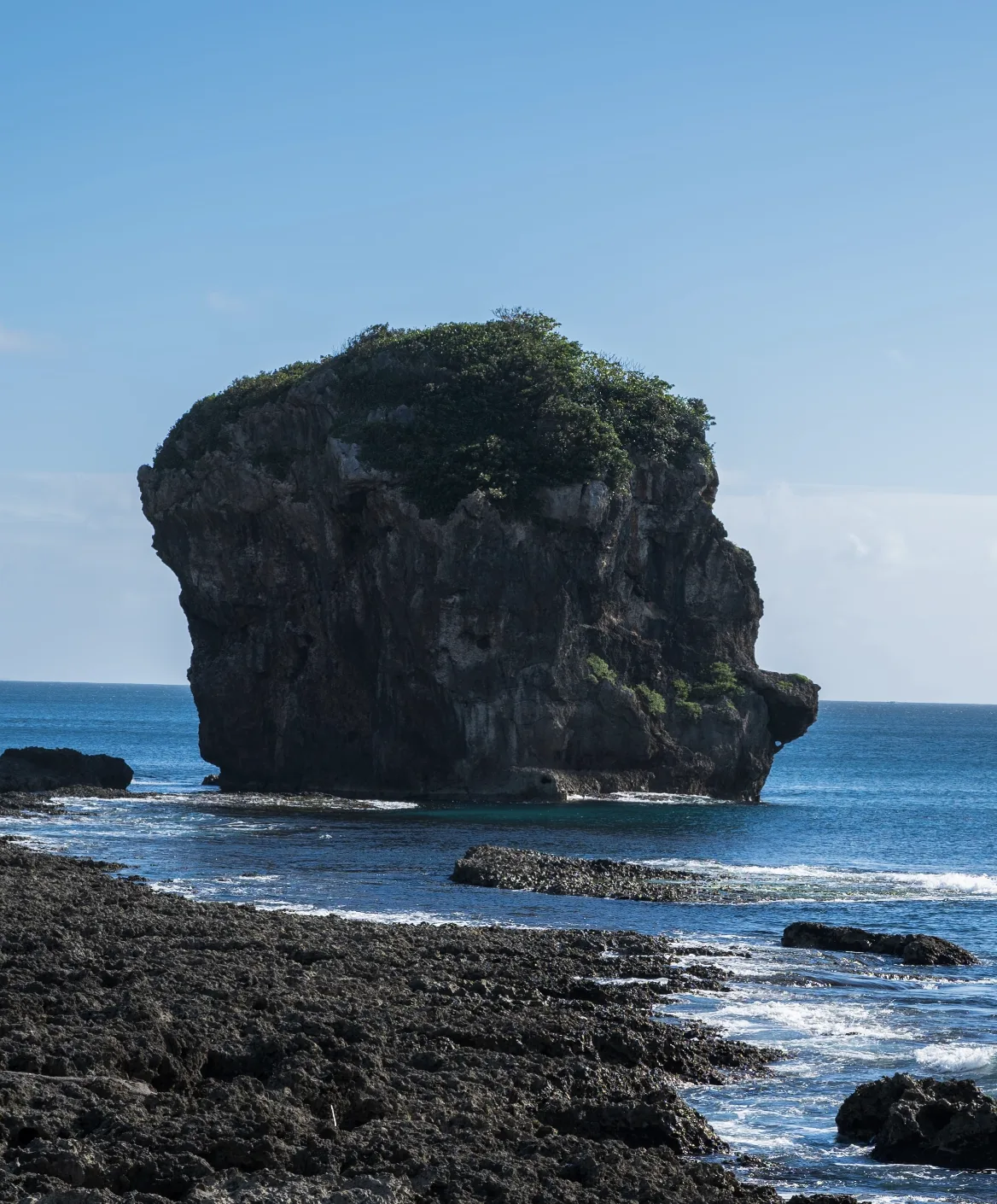 Chuanfan Rock, a tall coral sea stack topped with green vegetation, rising from turquoise water off the Kenting coast with dark reef rock in the foreground