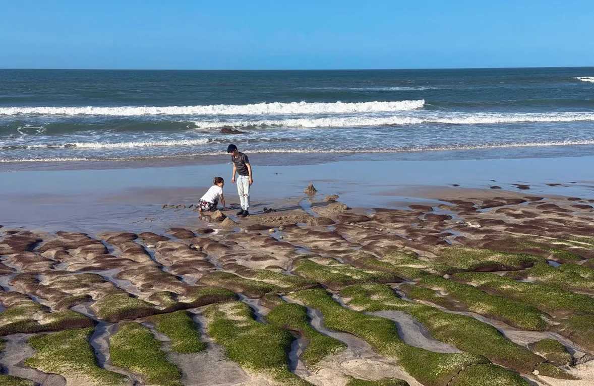 Long emerald ridges of algae-covered volcanic reef stretching into the waves at Laomei on Taiwan's north coast