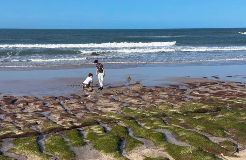 Emerald algae-covered stone ridges of the Laomei Green Reef running into the sea on Taiwan's north coast