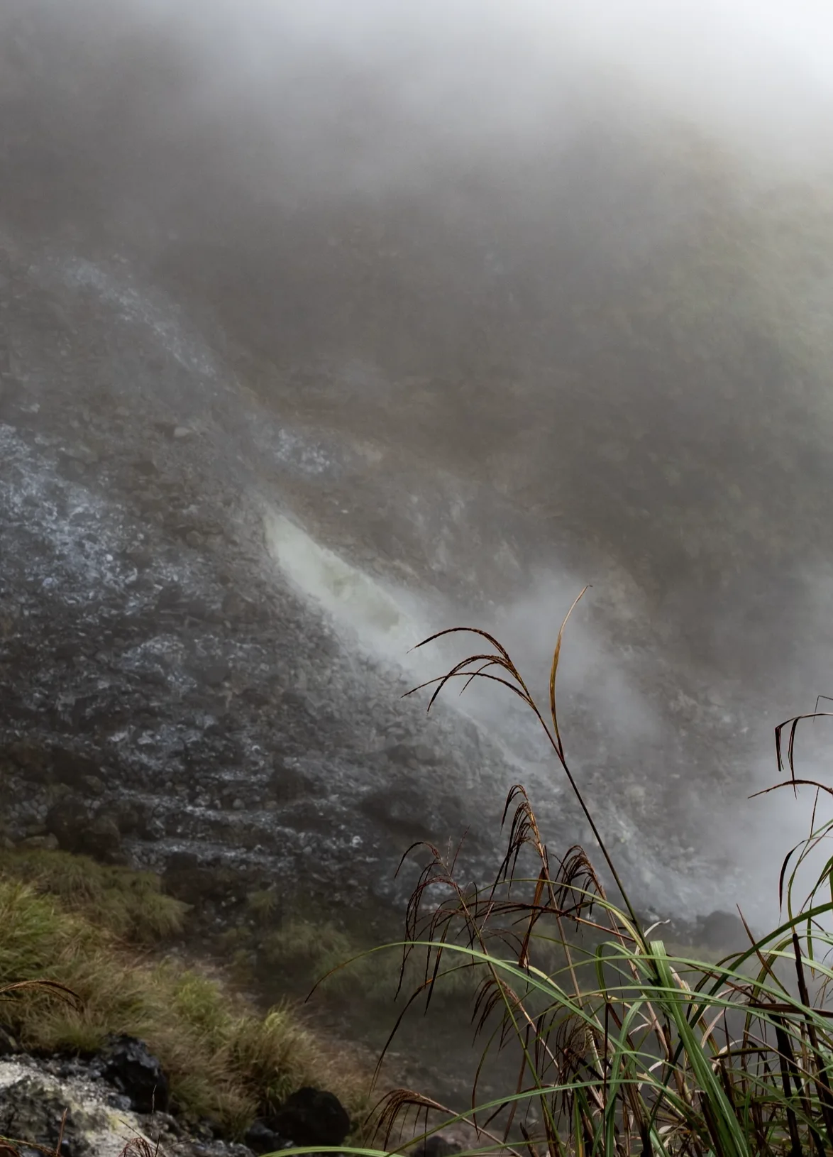 Steam rising from grey volcanic fumaroles on a misty hillside in Yangmingshan, tall grass in the foreground